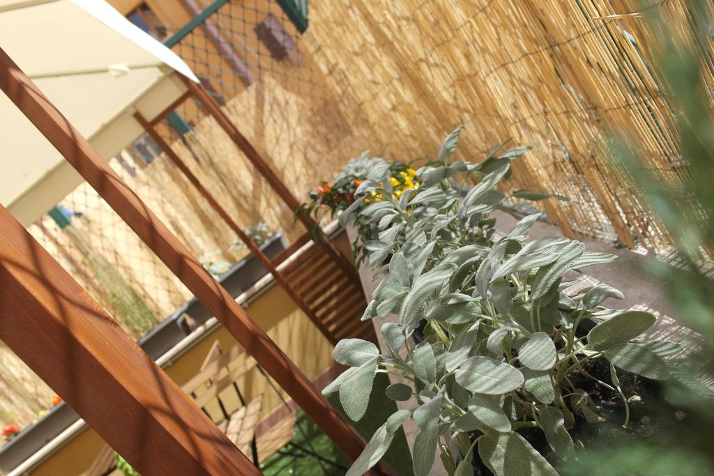 Candia Green House B&B Рим Екстериор снимка